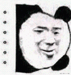 熊猫脸转成动态系列表情包,简直太魔性!