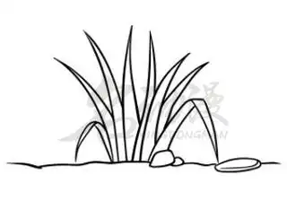 画小草的技巧教程