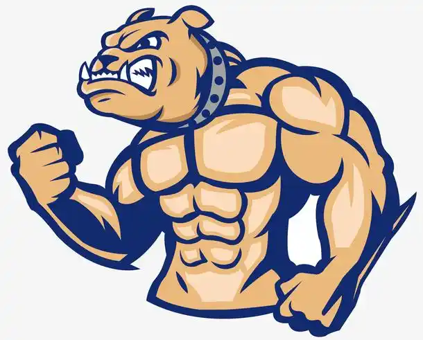 肌肉劲爆矢量卡通斗牛犬