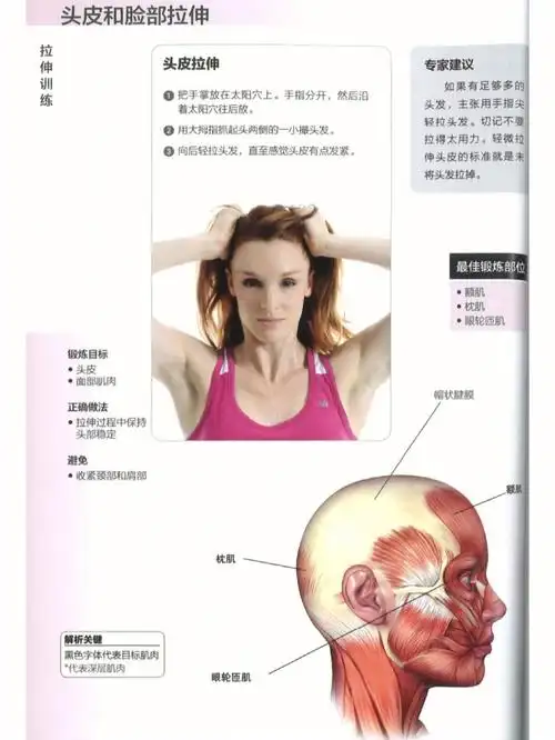 拉伸训练肌肉训练图解⑦面部头皮