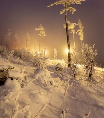 夜晚 冬天图片