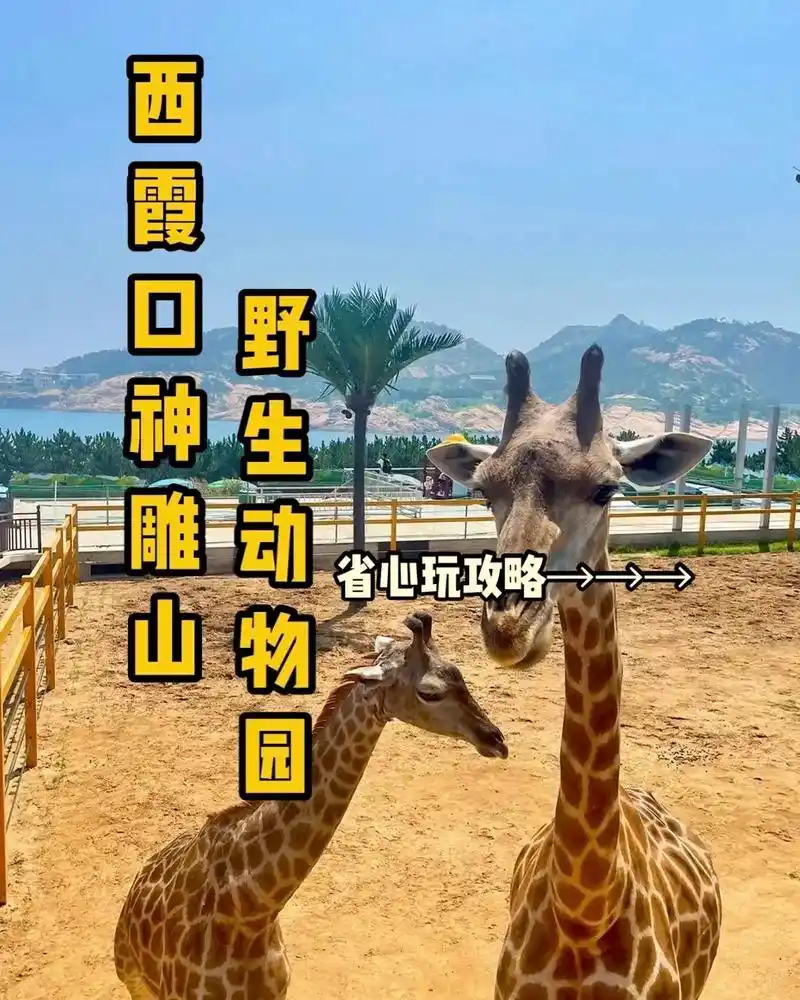 威海西霞口神雕山野生动物园.