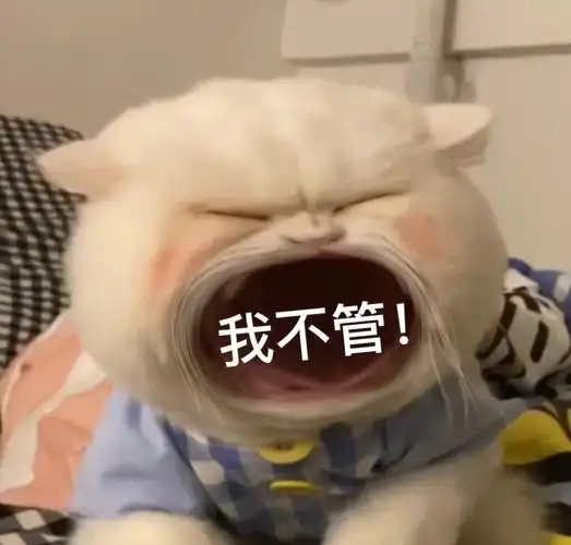 我不管大嘴猫猫咪表情包