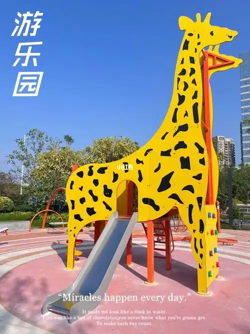 柳州拍照91|长颈鹿00滑滑梯07快来玩吧