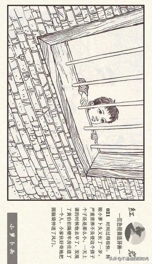 红岩之七小萝卜头河北美术出版社2011施肇祖周琳绘