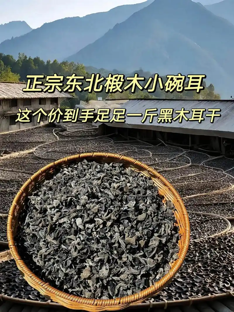 19.8到手一斤正宗东北黑木耳~纯干~都是新货无根无沙小碗状 - 抖音