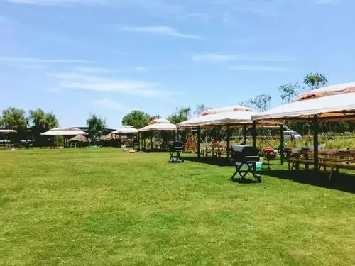 金山这里竟藏着一个田园生态农庄快来打卡吧