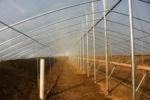 钢结构塑料大棚 塑料大棚