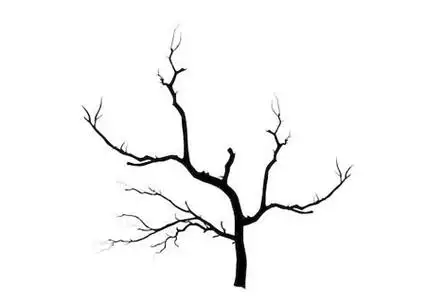 树枝简笔画简单又好看 树枝简笔画图片