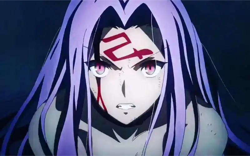 【fate/天之杯361春之歌】属于r姐的视觉盛宴_哔哩哔哩_bilibili