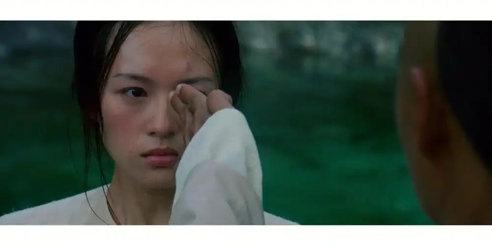 太久没看过武侠戏了,《卧虎藏龙》让我回到了看金庸电视剧的小学年代