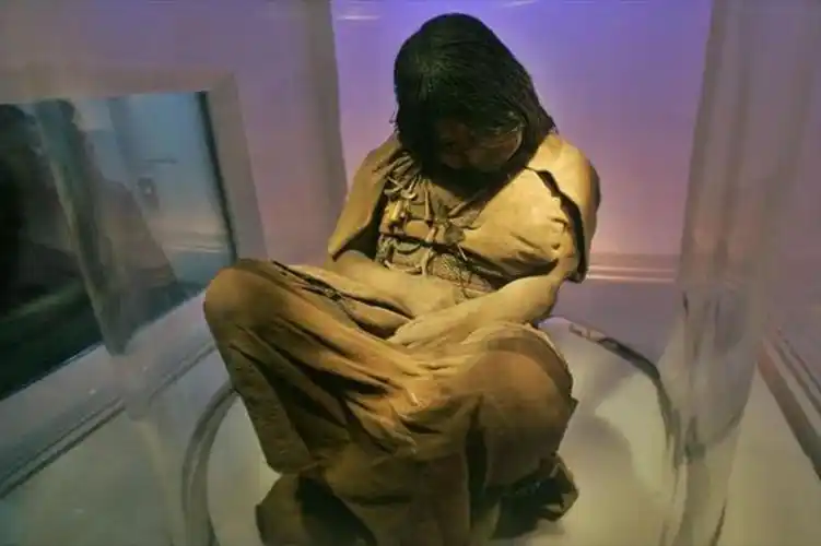 活人木乃伊有多痛苦啊 活人木乃伊制作视频 - 网络编辑之家