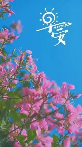 早安朋友圈配图1024x768分辨率下载,早安朋友圈配图,图片,壁纸,创意