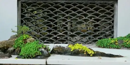 醉是粉墙黛瓦间