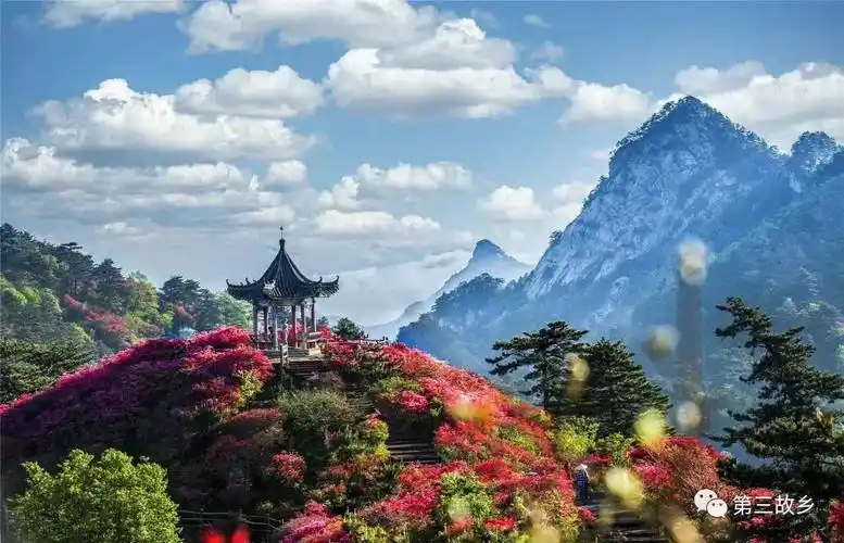 其它 麻城大美龟山红杜鹃 写美篇湖北麻城市龟峰山旅游风景区 国家4a