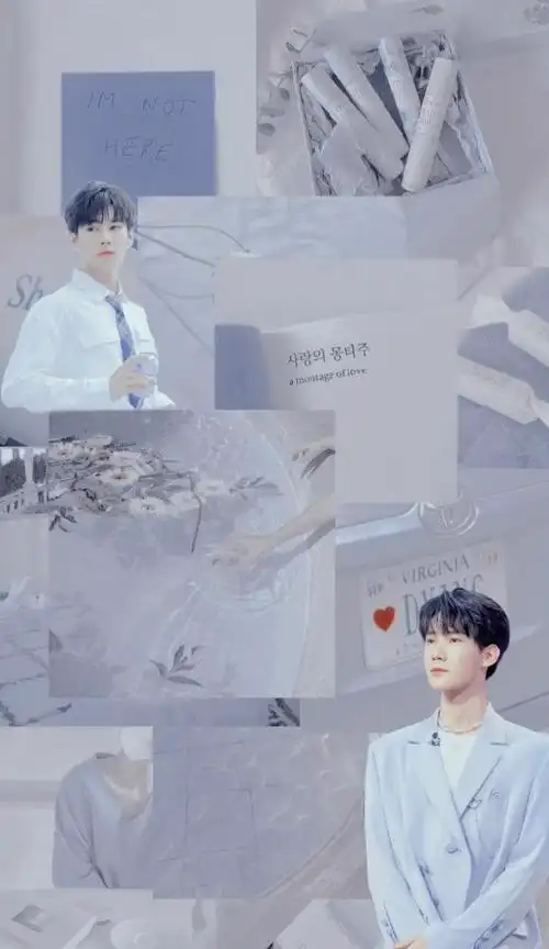 拼接壁纸丨张真源