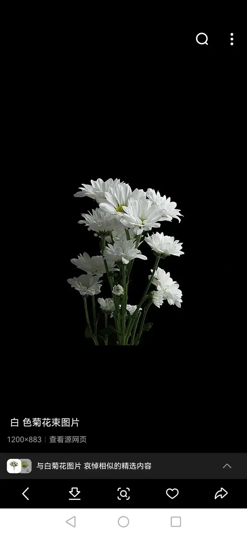 蜡烛烛光图片素材第84张 853x1280|查看源网页 与白 - 抖音