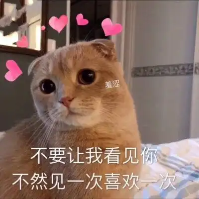 猫咪表情包太可爱了吧 我也想上推荐呀呀呀