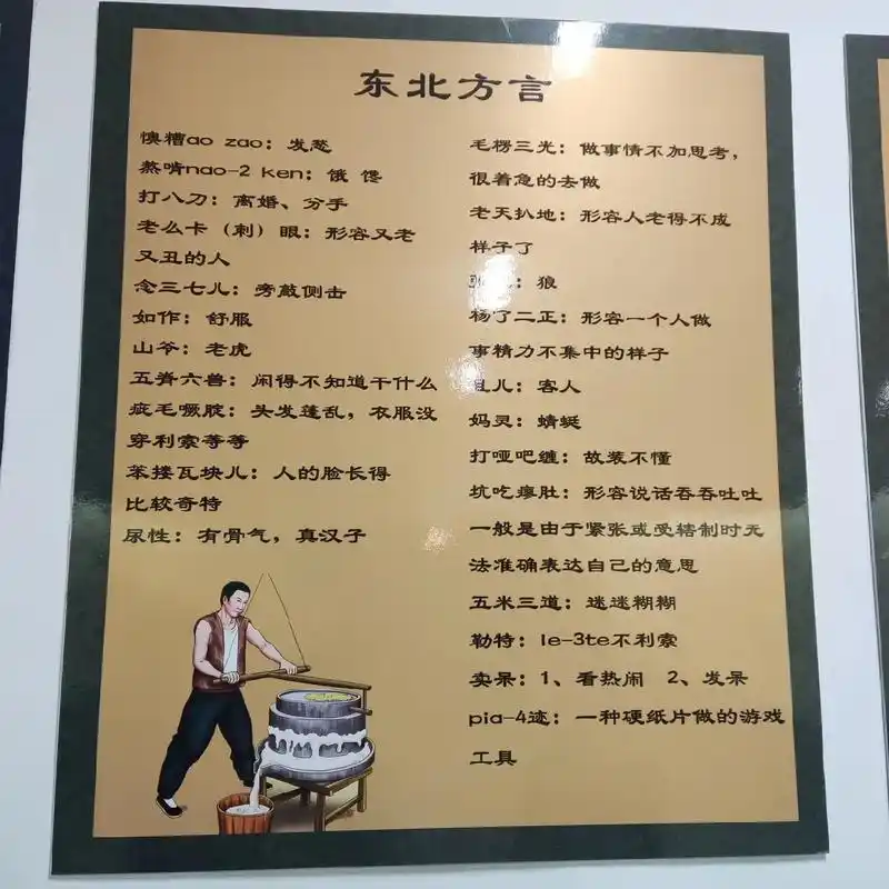 东北方言你知道多少?#我的旅行日记 #有点意思 #闲来无事 - 抖音