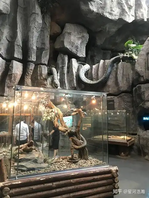 上海科技馆 上海自然博物馆