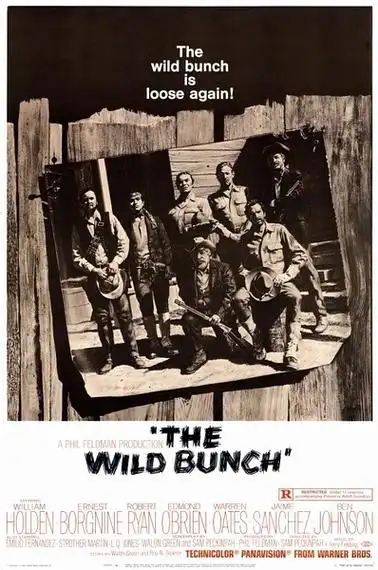 日落黄沙thewildbunch(1969)