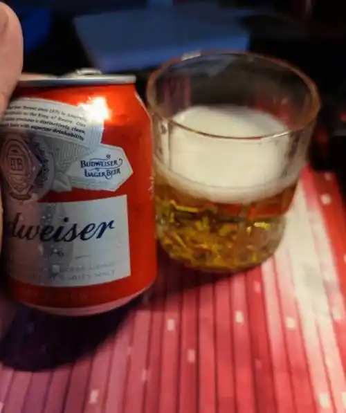 百威啤酒怎么样 酒和价格都一般,胜在小罐方便_什么值得买