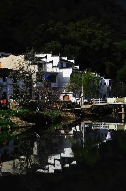 非凡诗社**唐春业作品推荐 《江西省婺源县晓起村》