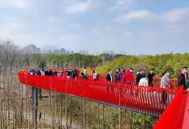 如果是你,会给嘉兴的网红桥取个什么名字?