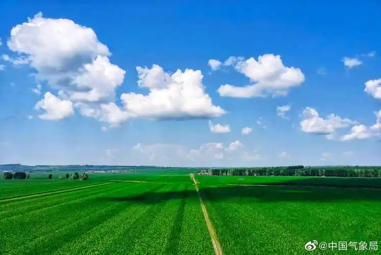 葱葱绿绿的广阔田野_高清图集_新浪网