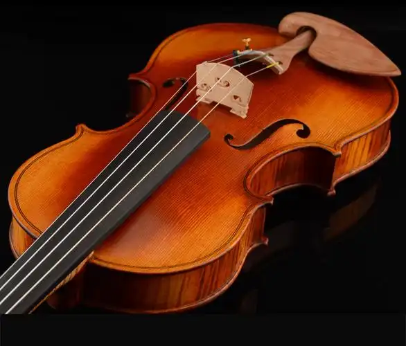 christina克莉丝蒂娜eumaste amati 小提琴 乐器