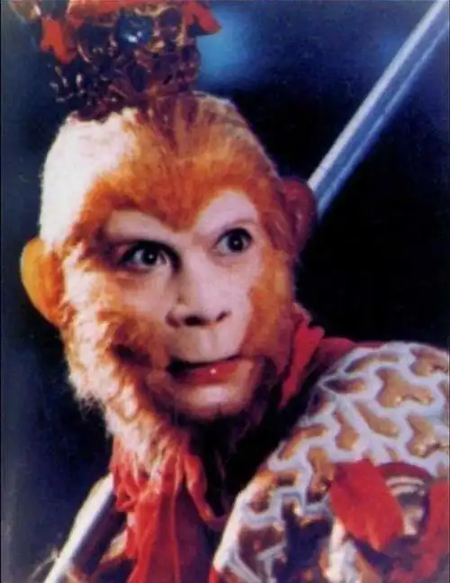 六小龄童是宣扬西游文化还是消费《西游记》,这些事情告诉你