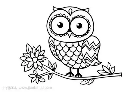 猫头鹰的简笔画猫头鹰的简笔画怎么画