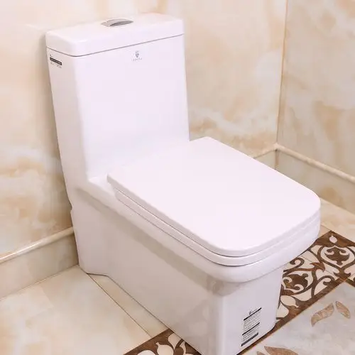 赛唯雅卫浴(savoia) 节能节水 家用连体坐便器