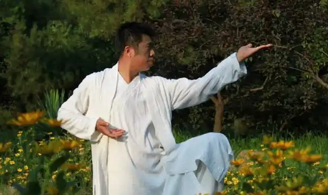 php玄帧道长青龙道长率众弟子朝真凝真宫