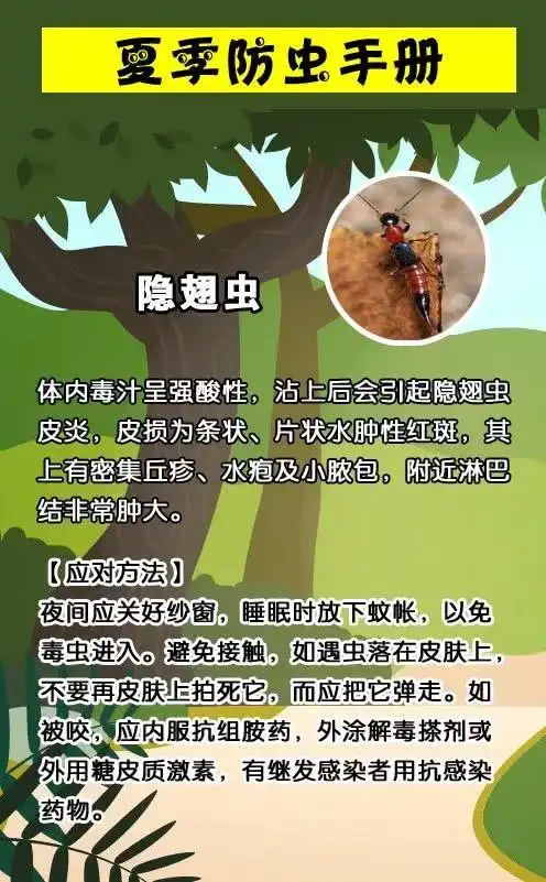 一家3人被这种虫咬,竟致2人死亡!带娃出门一定要注意!