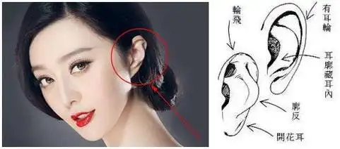 耳朵面相看命运