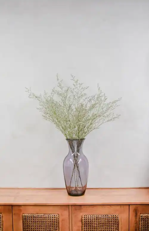 满天星插花图片