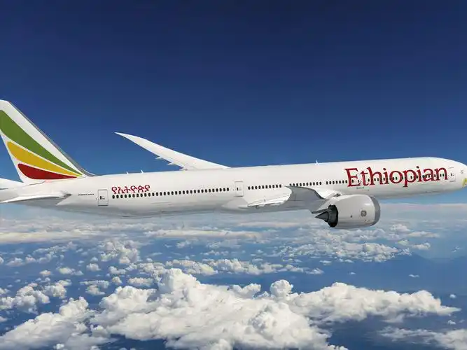 中国航空新闻网