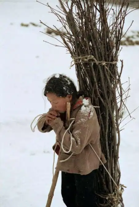 如何资助贫困山区孩子?贫困山区孩子的生活图片 本文共(1484字)