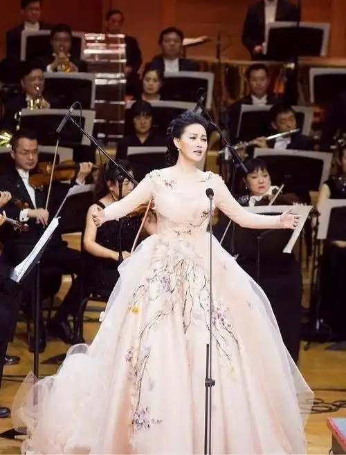 谭晶第一位博士级歌唱家12次荣登春晚丈夫身价不菲也是博士