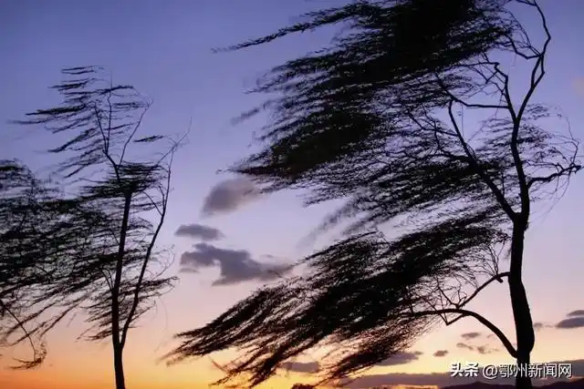 明天开始降温7级大风雨来了