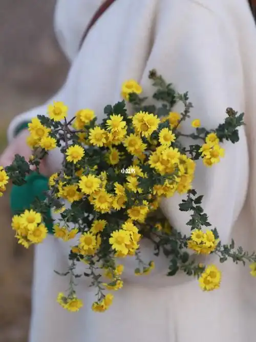 从山野抱回花一束