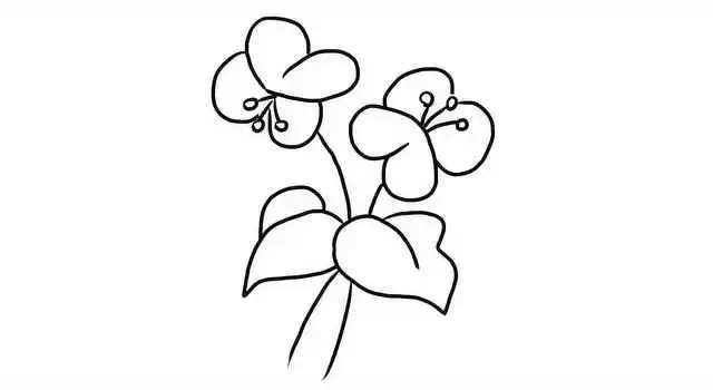 如何在二分钟内画完一朵漂亮的蝴蝶兰幼儿亲子简笔画