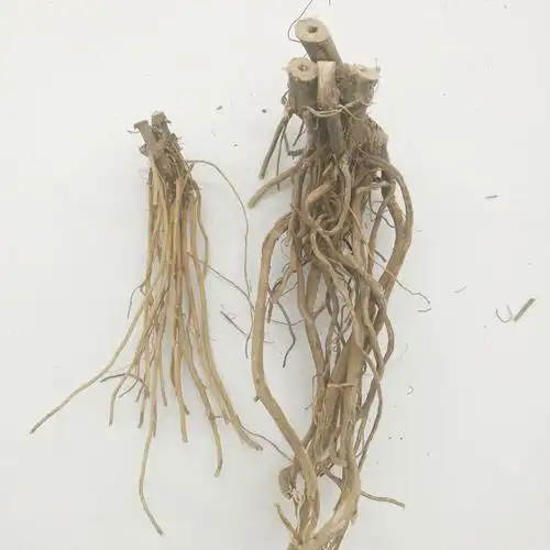 2017年新货野生土牛膝根 干品 倒扣草 接骨草 扣子棵 500克包邮