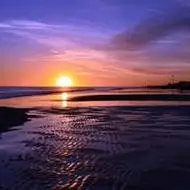 微信花草植物头像微信帅哥头像微信非主流头像微信背影头像微信素描