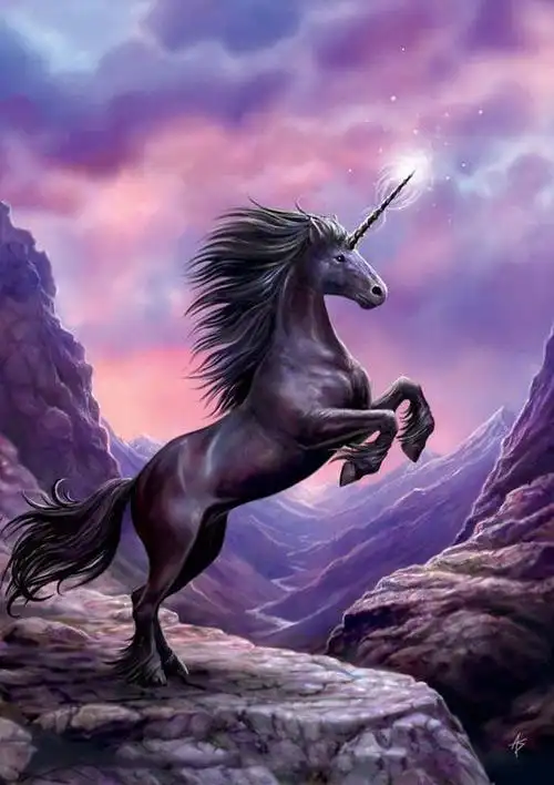 独角兽 — 给面小站