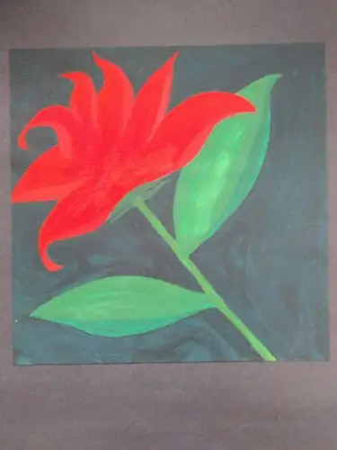 色彩构成色相对比红配绿作业