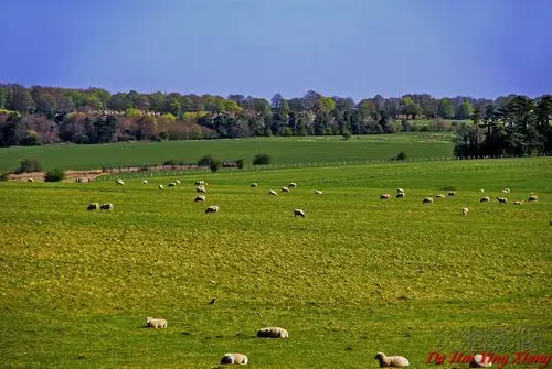 英格兰索尔兹伯里平原(英国随拍六四)