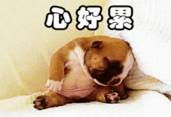 心累表情包搞笑图片