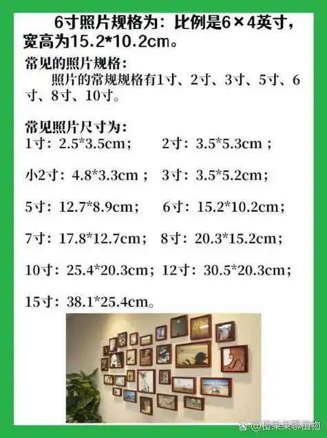 6寸照片规格为:比例是6×4英寸,宽高为15.2*10.2cm.